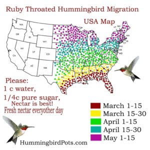 Hummingbird Migration Map